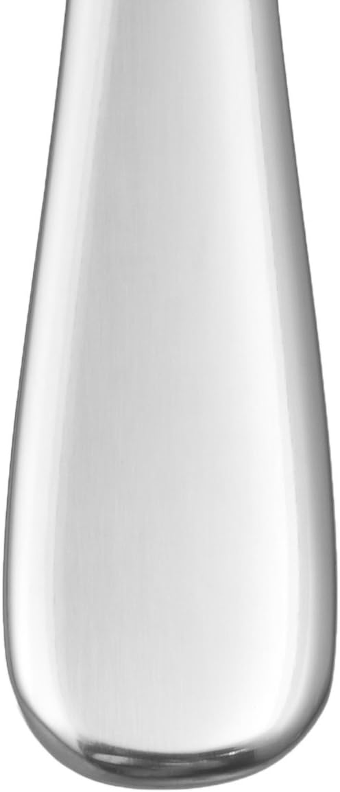 Amazon Basics Stainless Steel Dishwasher Safe Dinner Spoons with Round Edge  Large Tablespoons  7.9 inches  Pack of 12  Silver