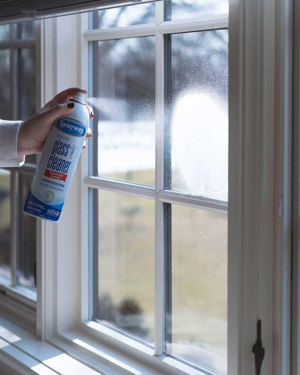 Sprayway Glass Cleaner with Foaming Spray for a Streak-Free Shine for Home and Automotive Use  19 oz.  Pack of 12