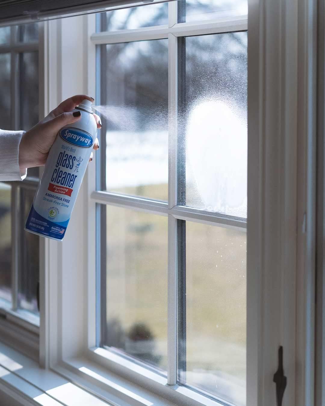 Sprayway Glass Cleaner with Foaming Spray for a Streak-Free Shine for Home and Automotive Use  19 oz.  Pack of 12