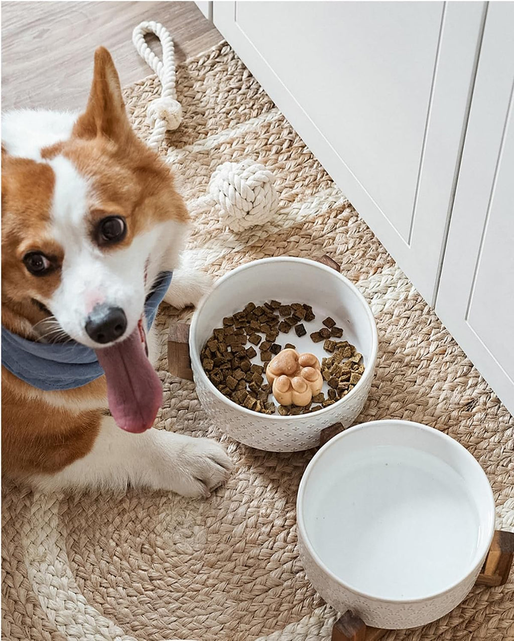 LE TAUCI Dog Bowl Set with Acacia Wood Stand - 1.5-Cup Ceramic Puppy Bowls for Small Dogs  Dual Food and Water Bowls with Weighted Non-Slip Base