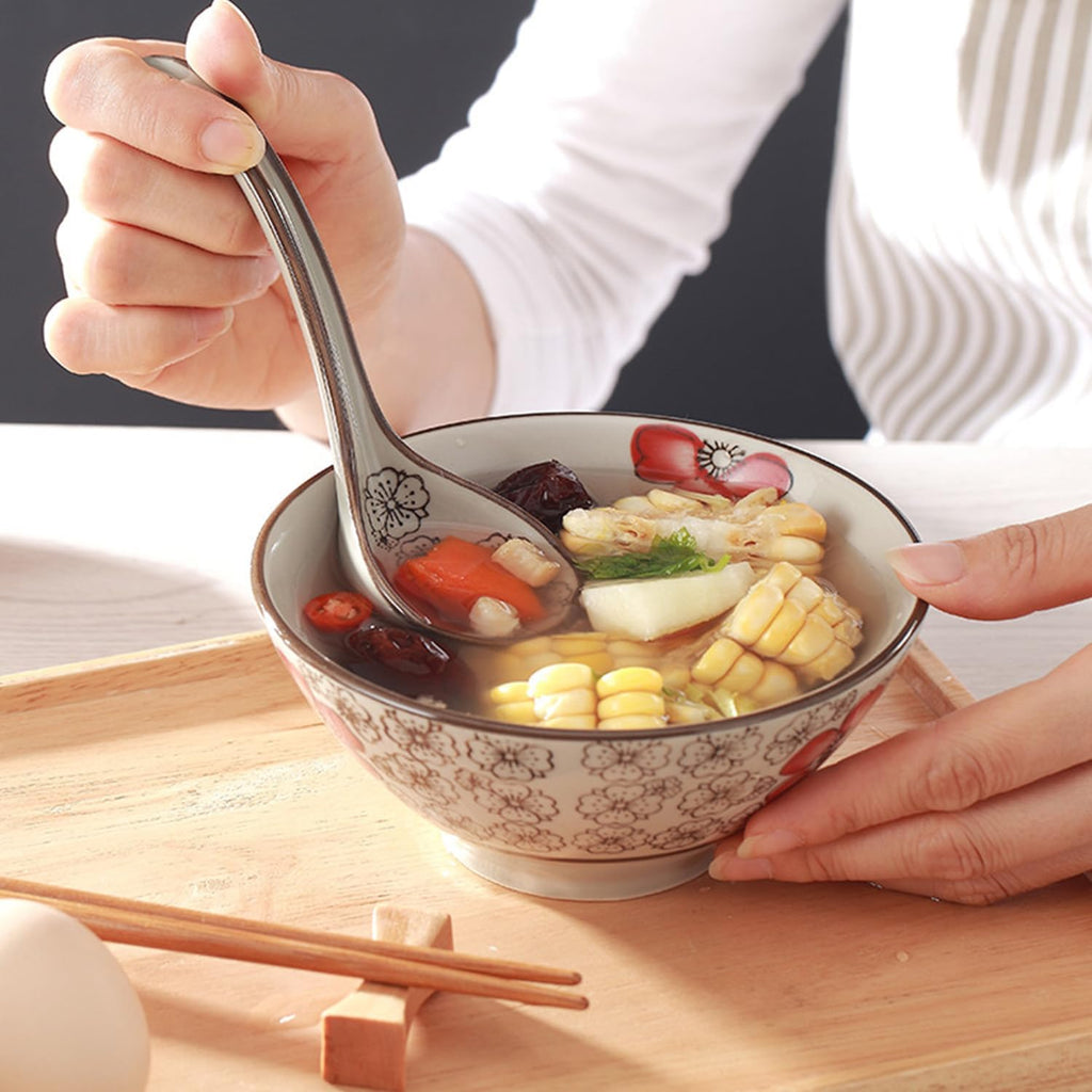 4Pcs Ceramic Soup Spoons  Asian Chinese Spoon Long Handle Spoon Ramen Spoons  Porcelain Japanese Spoons for Ramen  Vietnamese Wonton  Dumpling Rice Noodle Soup Spoons - Set of 4