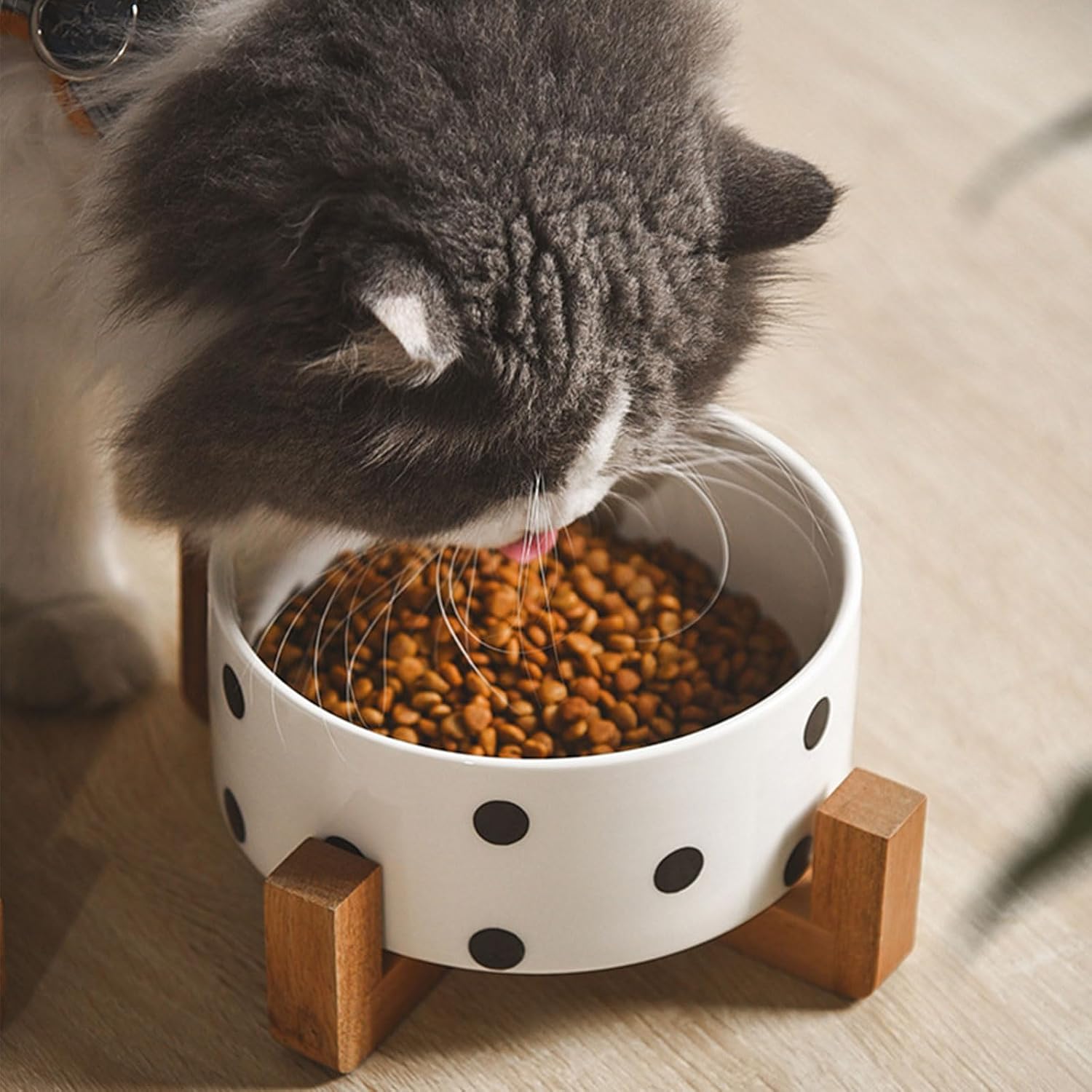 Petygooing Ceramic Dog Bowl Set with Stand  Small Pet Bowls  Anti-Slip Cat & Dog Food and Water Bowl Set (13.5OZ/5.1 in) Black Dot