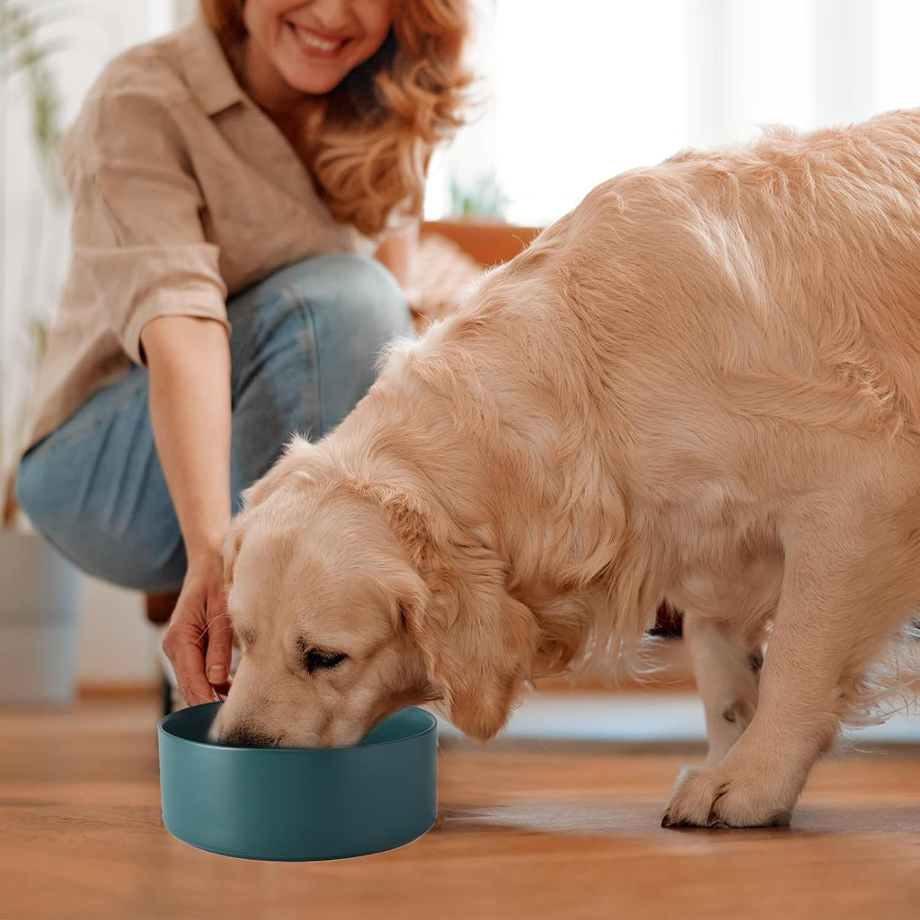 6'' Ceramic Dog Bowl - 30Oz Classic Dogs Food & Water Bowl for Small and Medium Breed Dogs  Heavy Duty Non-Slip Dog Dishes  Food Grade Stoneware Pet Bowl  Dishwasher & Microwave Safe  Green