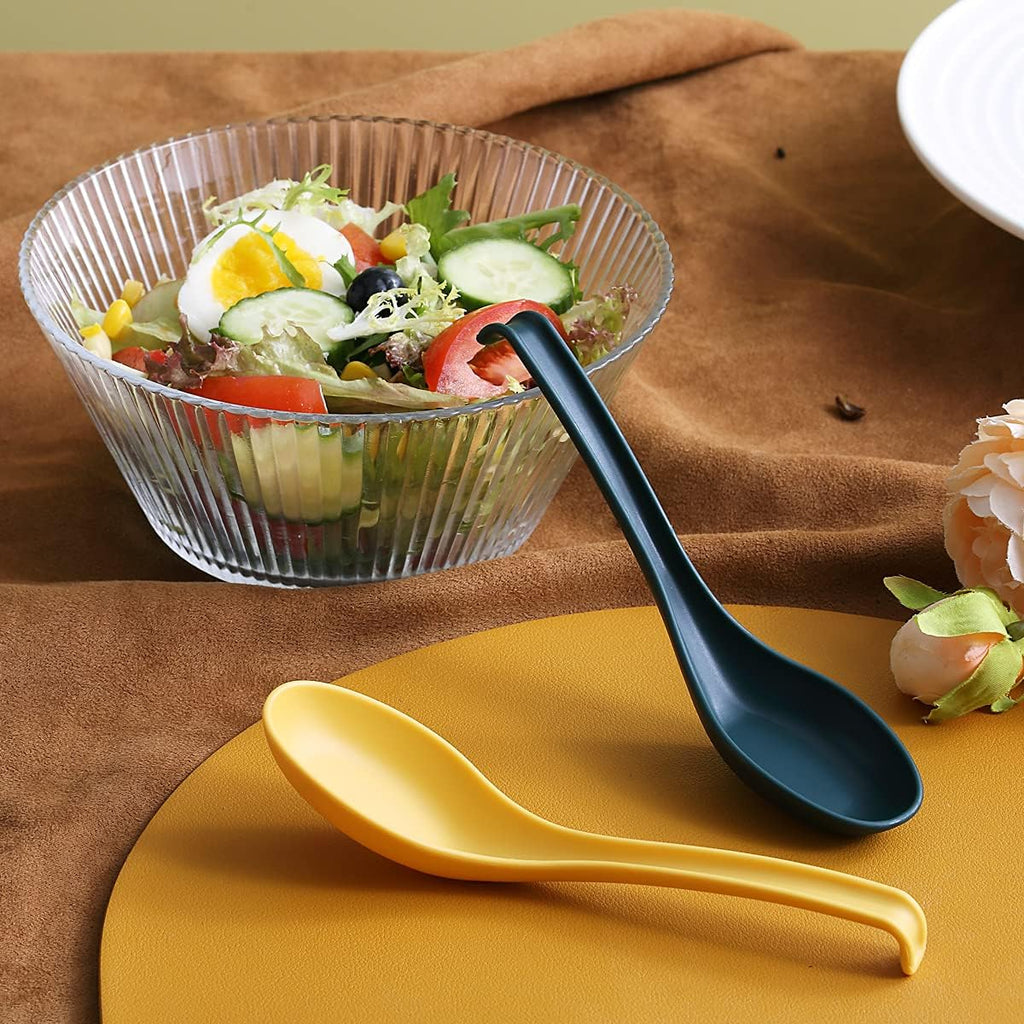 Evanda Soup Spoon  ECO Friendly Dinner Spoon Made of Food Grade PP  BPA Free Easy Clean Dishwasher Safe Set of 12(Mix Color)