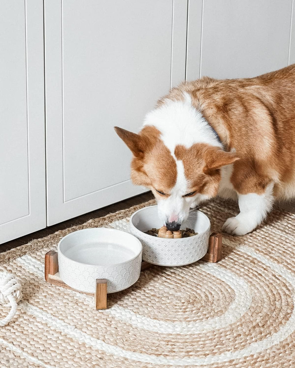 LE TAUCI Dog Bowl Set with Acacia Wood Stand - 1.5-Cup Ceramic Puppy Bowls for Small Dogs  Dual Food and Water Bowls with Weighted Non-Slip Base