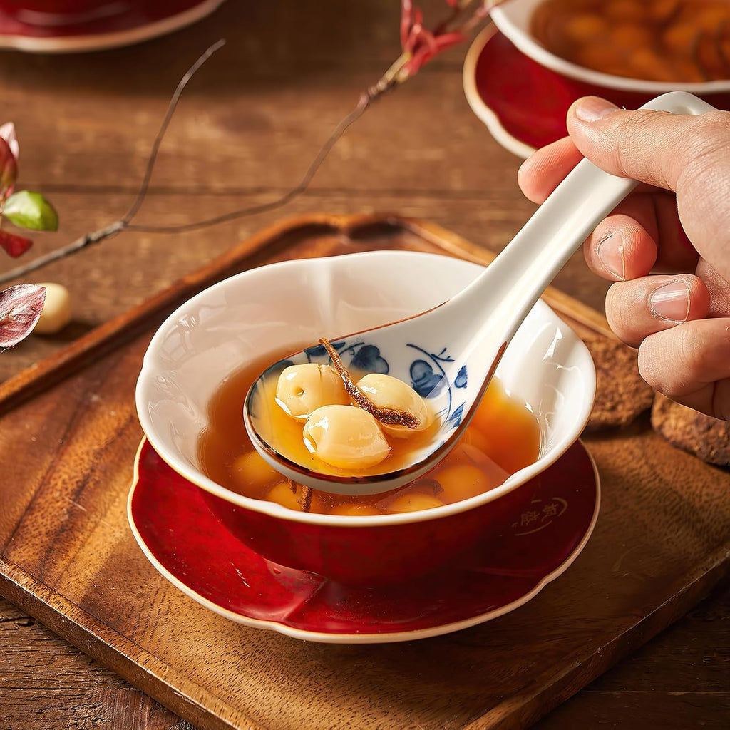 IQCWOOD Ceramic Asian Soup Spoons  Blue and White Japanese Spoon for Soup Rice Ramen Pho Wonton Dumpling Miso  Deep Oval Hook Design  Gifts for Friends Parents Family