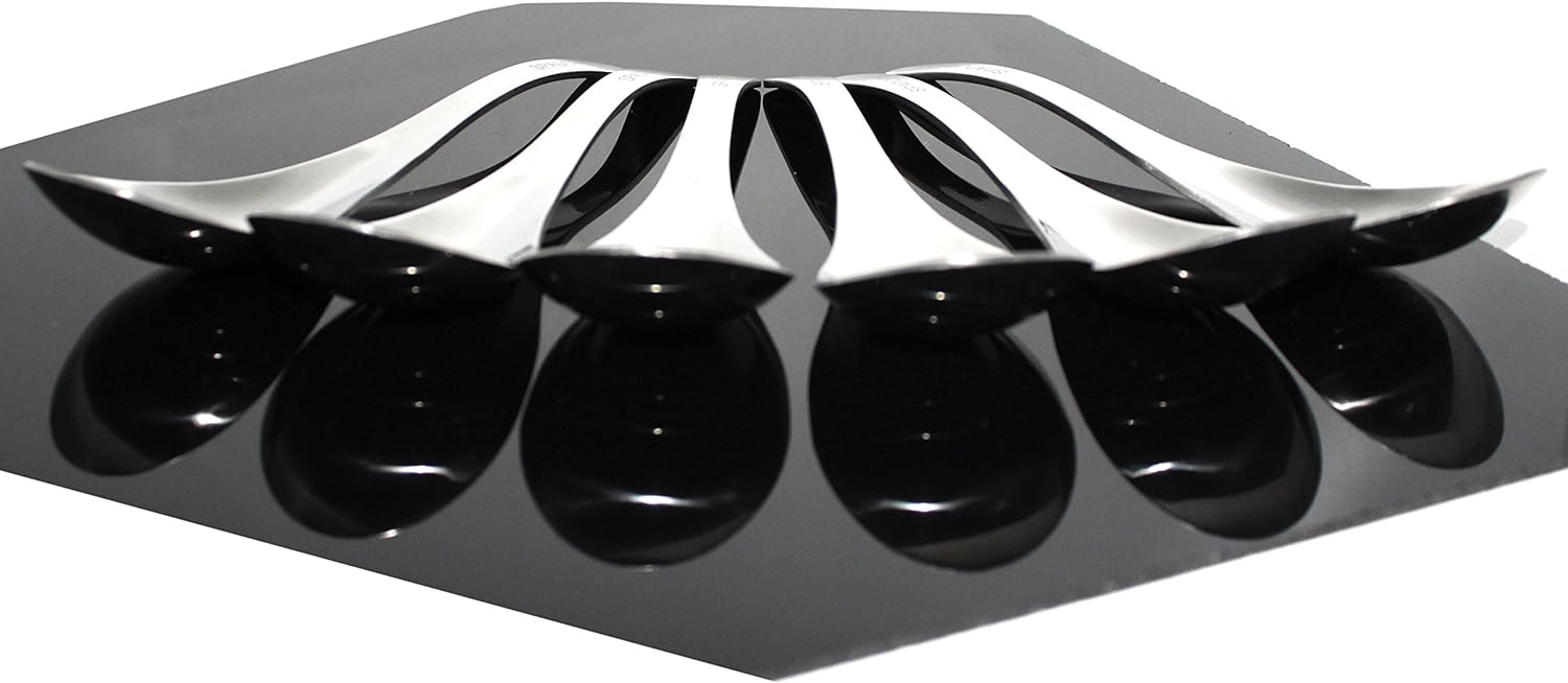 Set of 6-6.5 x1.8 Inches Functional Heavy-Weight Stainless Steel Soup Spoons Table Spoons with Modern Look Excellent Shape (6)